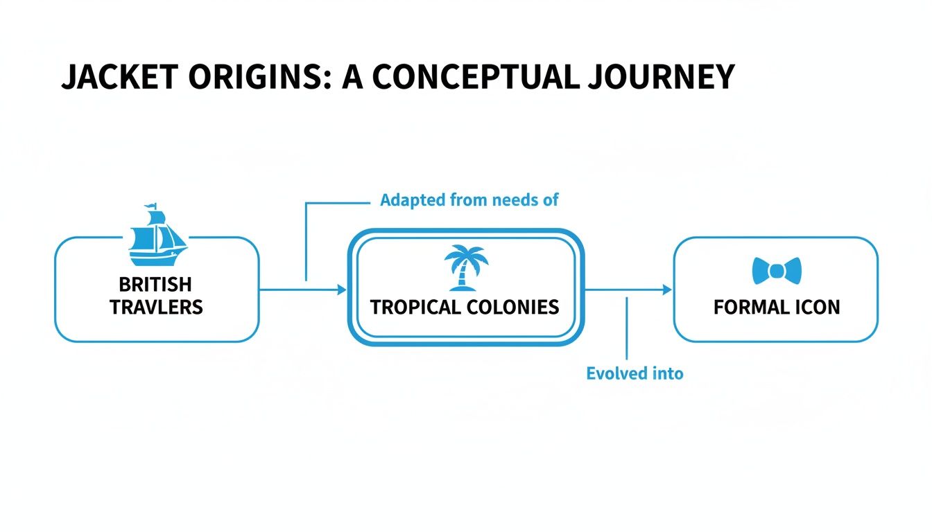 Conceptual diagram showing jacket origins from British travelers, adapted in tropical colonies, becoming formal wear.