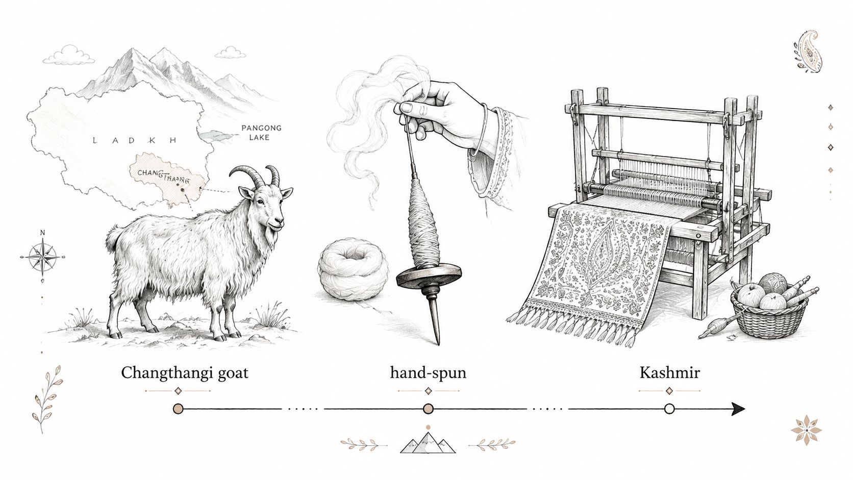 An illustration showing the production process of cashmere from Changthangi goats to hand-spinning and finished Kashmiri textiles.